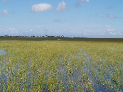 Photo of Lake Okeechobee by SFWMD used with permission